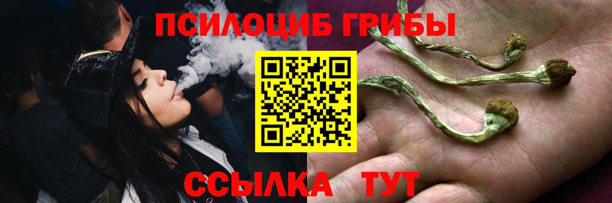 Галлюциногенные грибы прущие грибы Усть-Джегута